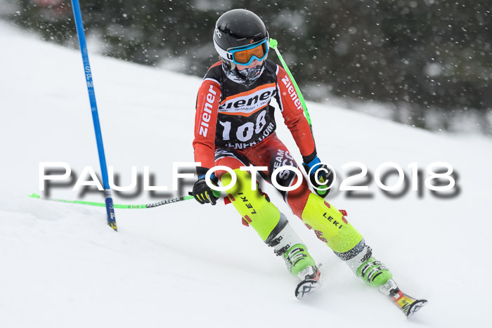 4. Ziener Cup WF, 25.02.2018