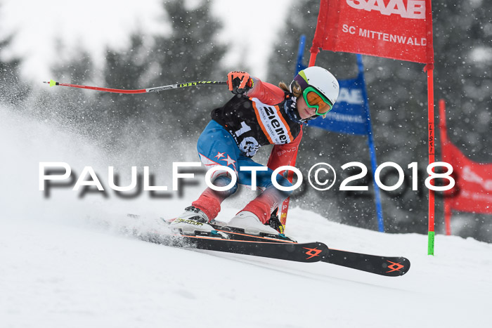 4. Ziener Cup WF, 25.02.2018
