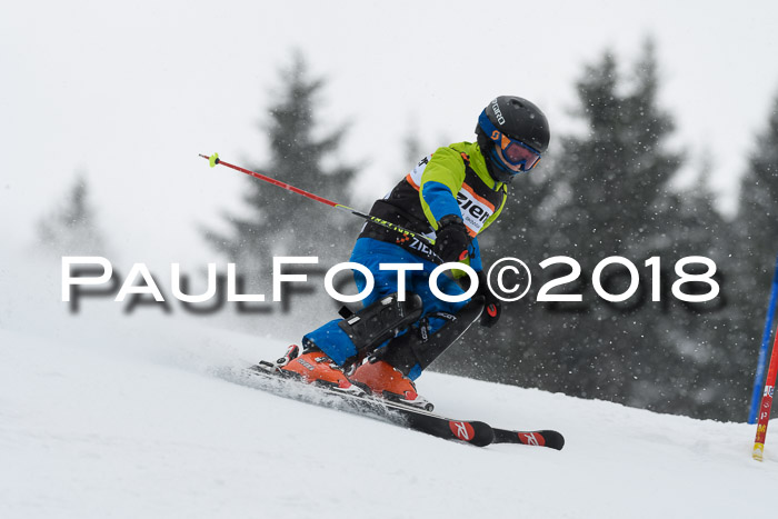 4. Ziener Cup WF, 25.02.2018