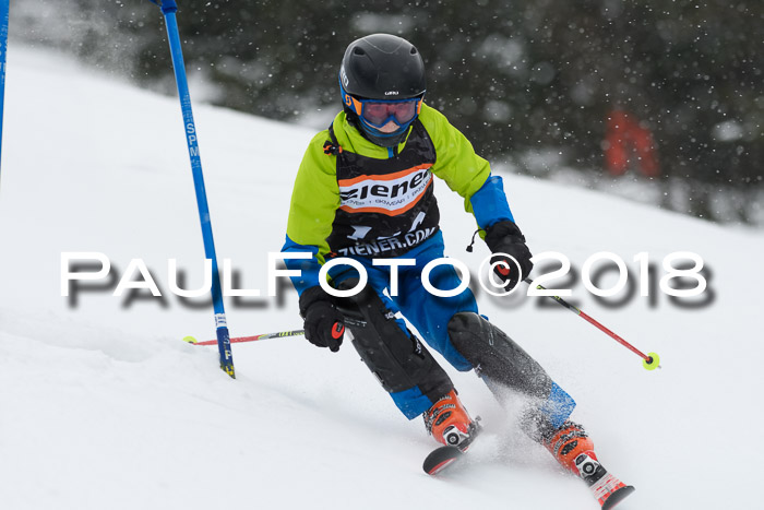4. Ziener Cup WF, 25.02.2018