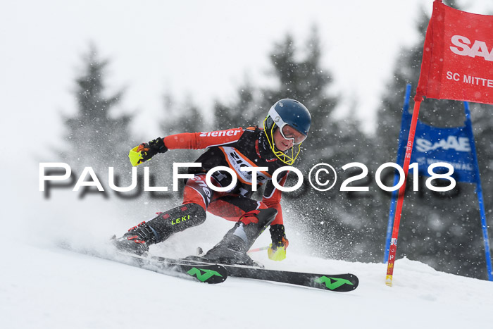 4. Ziener Cup WF, 25.02.2018