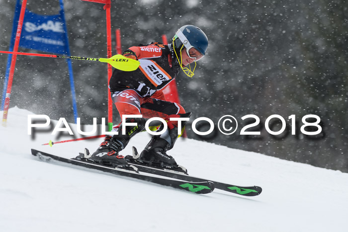 4. Ziener Cup WF, 25.02.2018