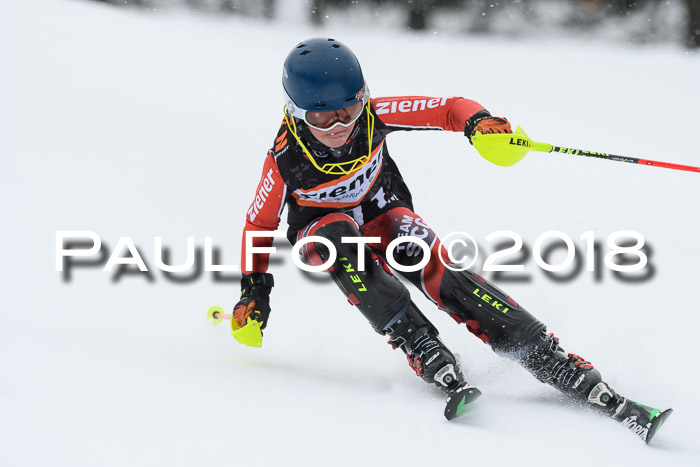 4. Ziener Cup WF, 25.02.2018