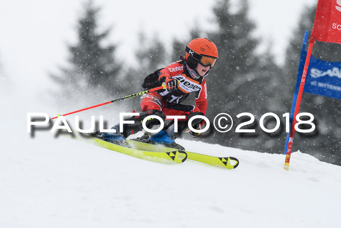 4. Ziener Cup WF, 25.02.2018