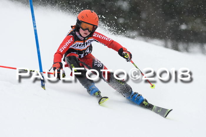 4. Ziener Cup WF, 25.02.2018