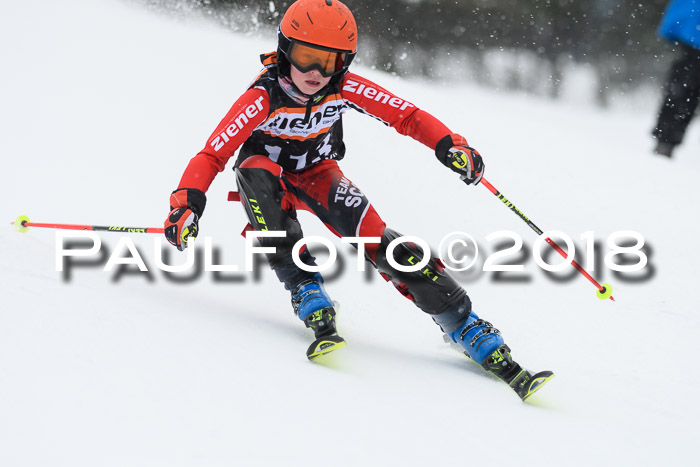 4. Ziener Cup WF, 25.02.2018