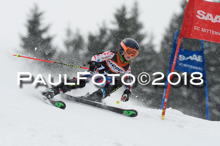4. Ziener Cup WF, 25.02.2018