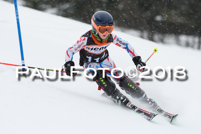 4. Ziener Cup WF, 25.02.2018