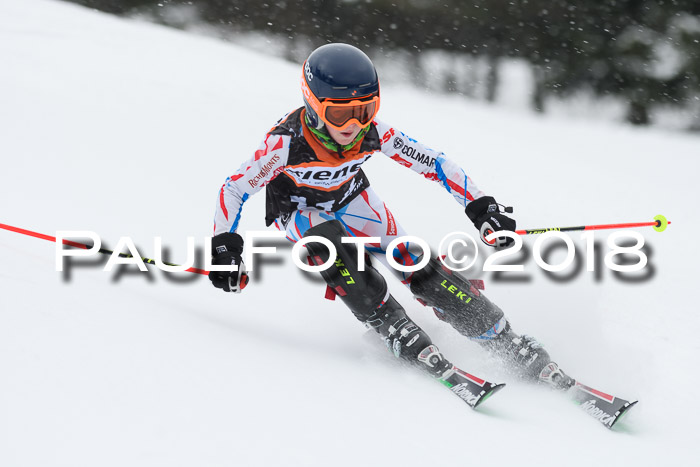 4. Ziener Cup WF, 25.02.2018