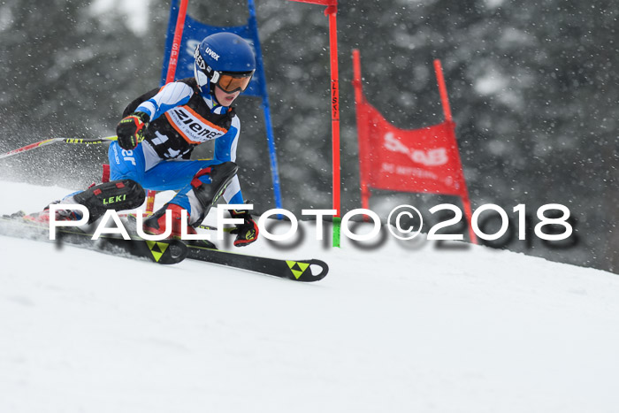 4. Ziener Cup WF, 25.02.2018