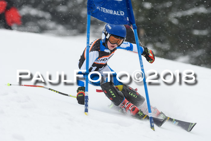 4. Ziener Cup WF, 25.02.2018