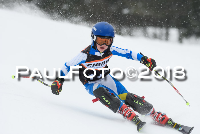 4. Ziener Cup WF, 25.02.2018