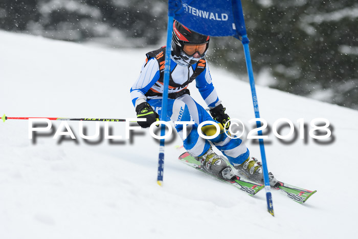 4. Ziener Cup WF, 25.02.2018
