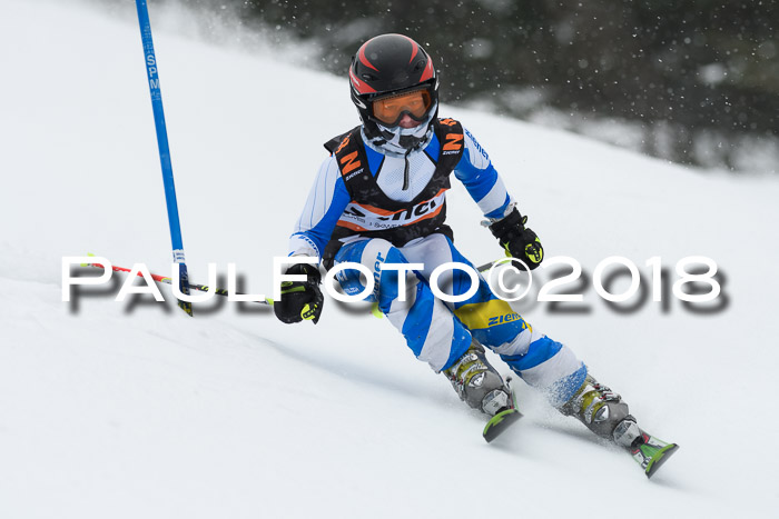 4. Ziener Cup WF, 25.02.2018