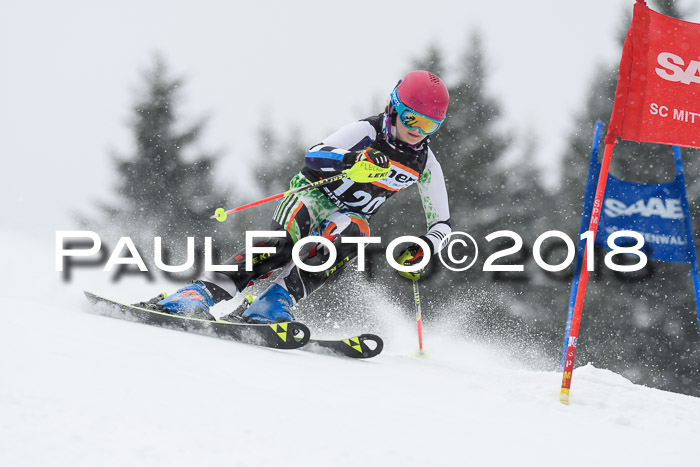 4. Ziener Cup WF, 25.02.2018