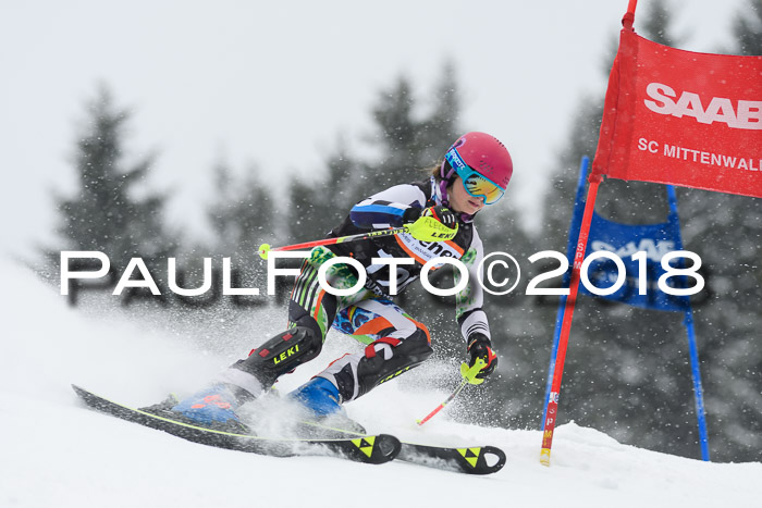 4. Ziener Cup WF, 25.02.2018