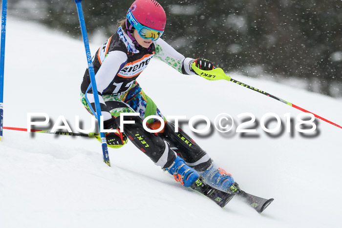 4. Ziener Cup WF, 25.02.2018