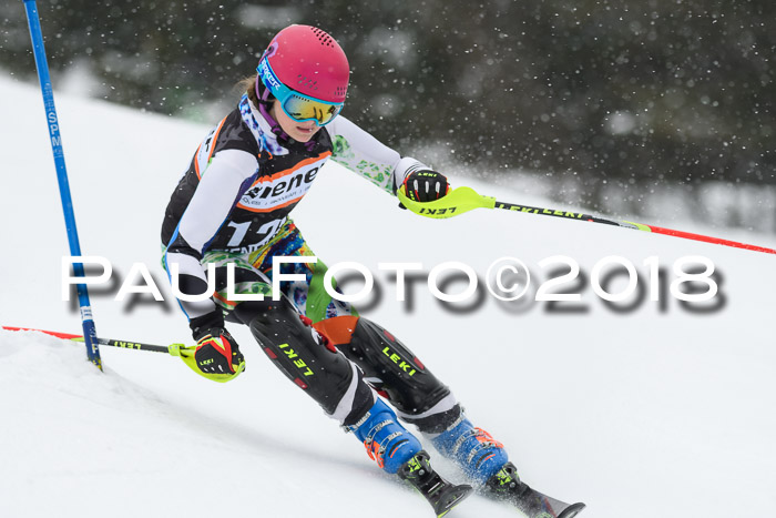 4. Ziener Cup WF, 25.02.2018