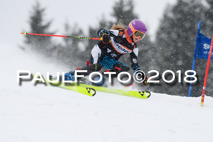 4. Ziener Cup WF, 25.02.2018