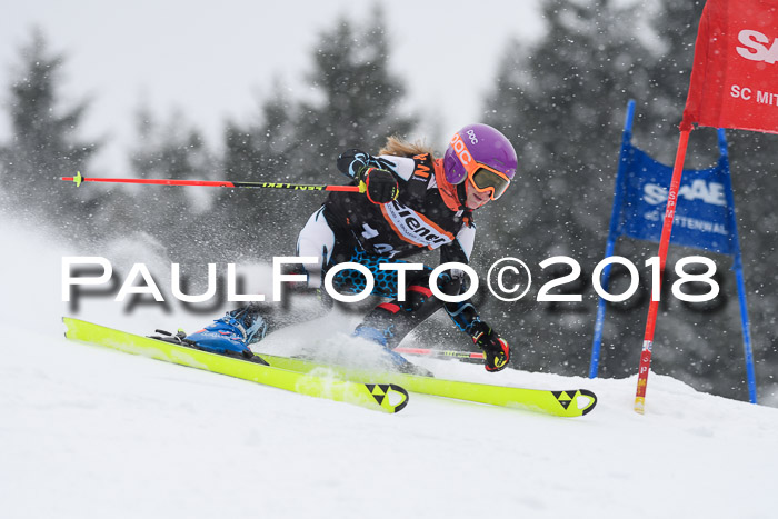 4. Ziener Cup WF, 25.02.2018