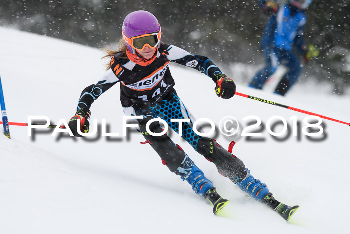 4. Ziener Cup WF, 25.02.2018