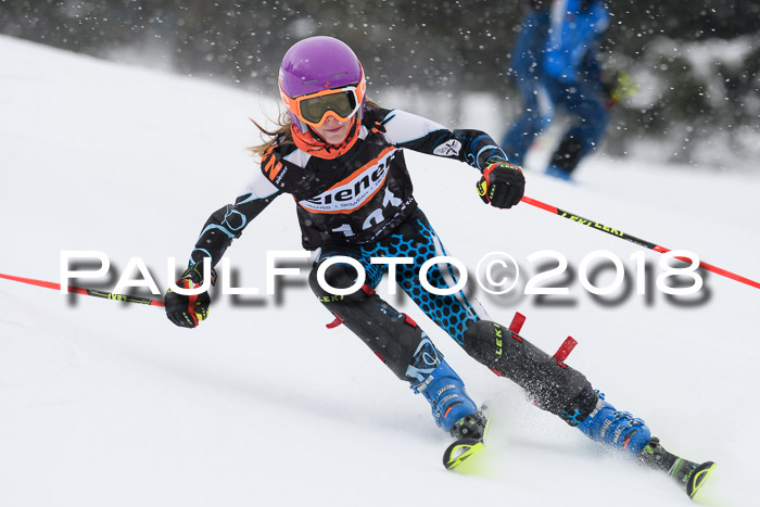 4. Ziener Cup WF, 25.02.2018