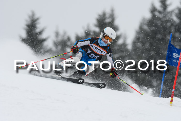 4. Ziener Cup WF, 25.02.2018