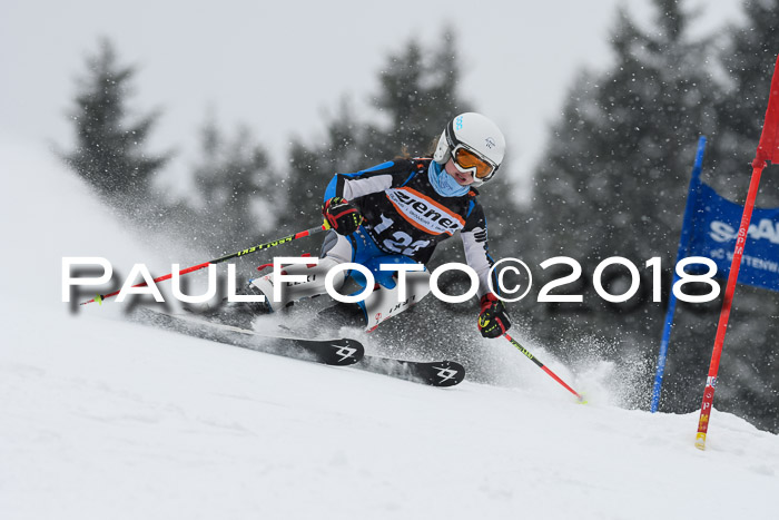 4. Ziener Cup WF, 25.02.2018