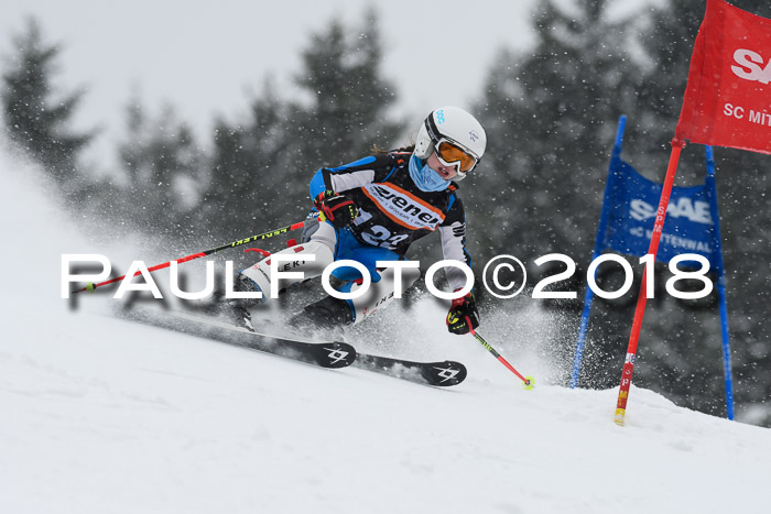 4. Ziener Cup WF, 25.02.2018