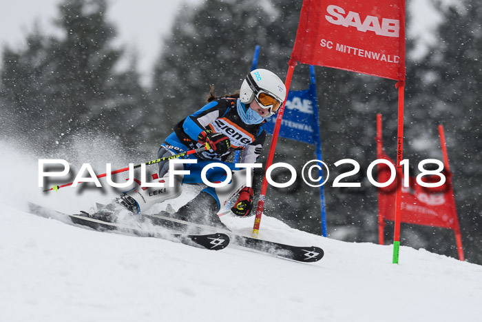 4. Ziener Cup WF, 25.02.2018