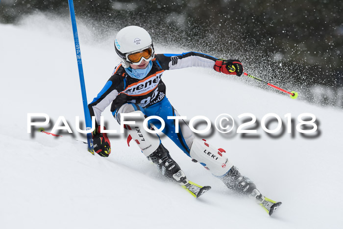 4. Ziener Cup WF, 25.02.2018