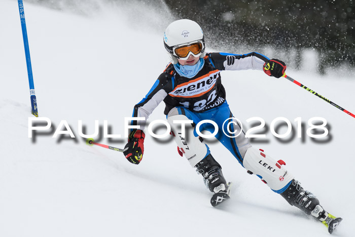 4. Ziener Cup WF, 25.02.2018