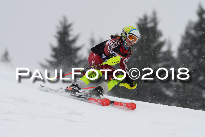 4. Ziener Cup WF, 25.02.2018