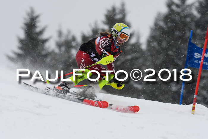 4. Ziener Cup WF, 25.02.2018