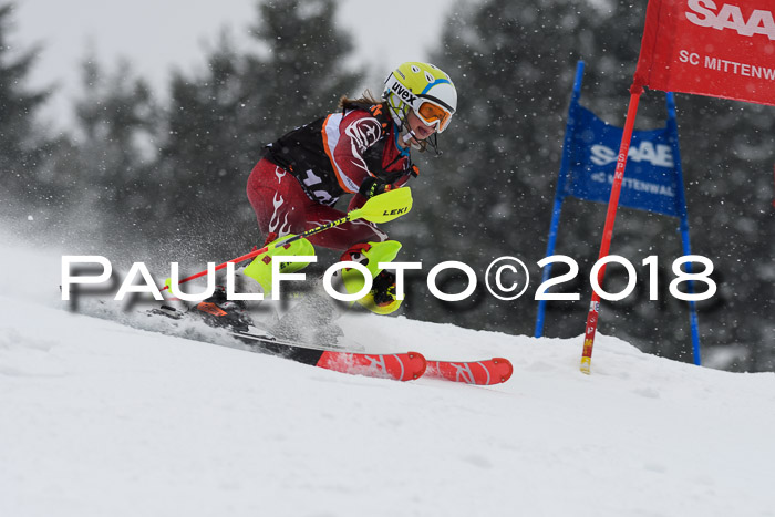 4. Ziener Cup WF, 25.02.2018