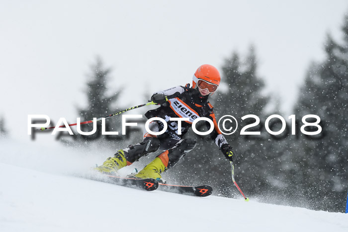 4. Ziener Cup WF, 25.02.2018