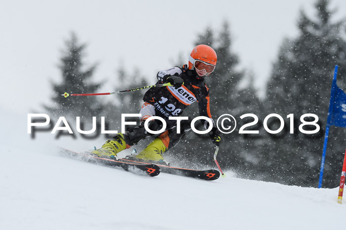 4. Ziener Cup WF, 25.02.2018