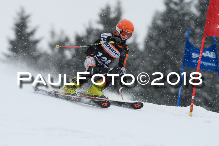 4. Ziener Cup WF, 25.02.2018