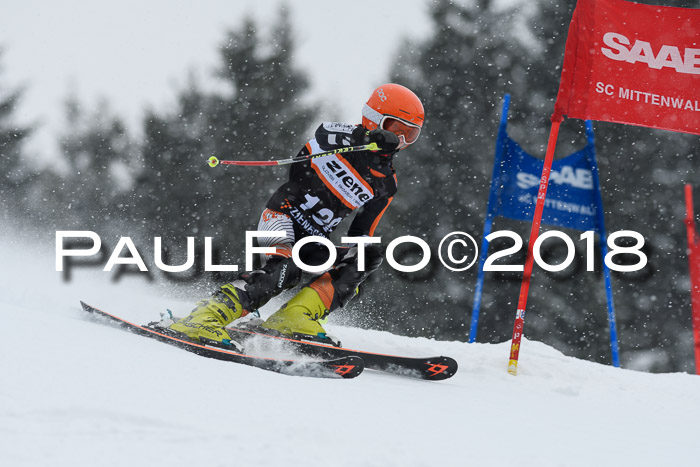 4. Ziener Cup WF, 25.02.2018