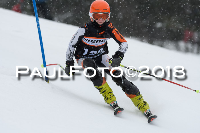 4. Ziener Cup WF, 25.02.2018