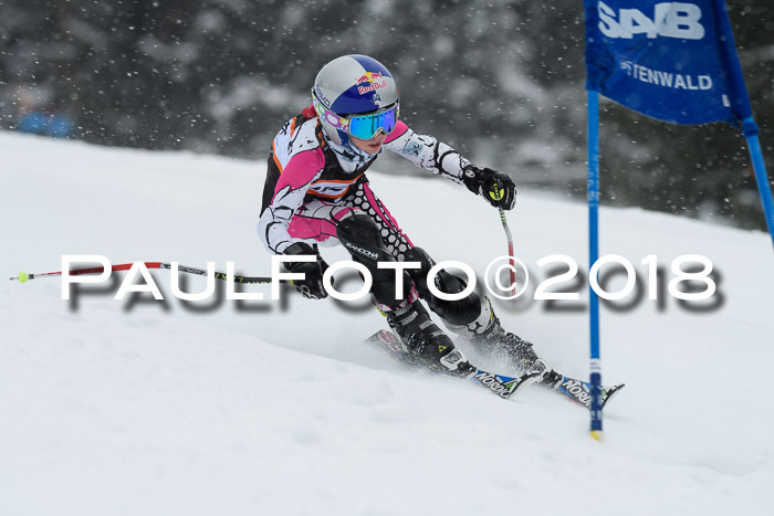 4. Ziener Cup WF, 25.02.2018