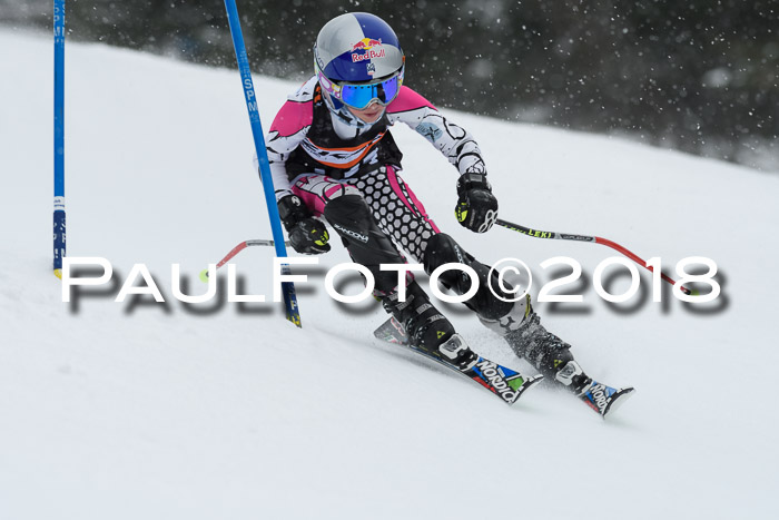 4. Ziener Cup WF, 25.02.2018