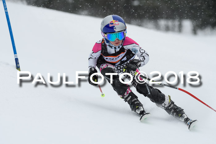 4. Ziener Cup WF, 25.02.2018