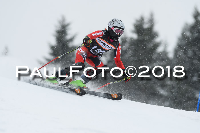 4. Ziener Cup WF, 25.02.2018