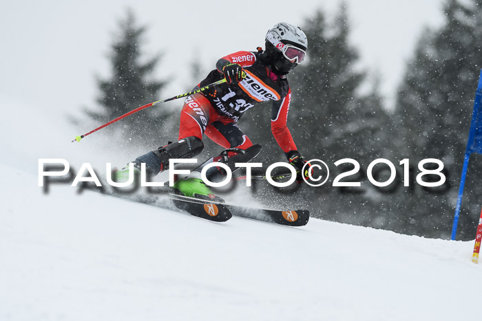 4. Ziener Cup WF, 25.02.2018
