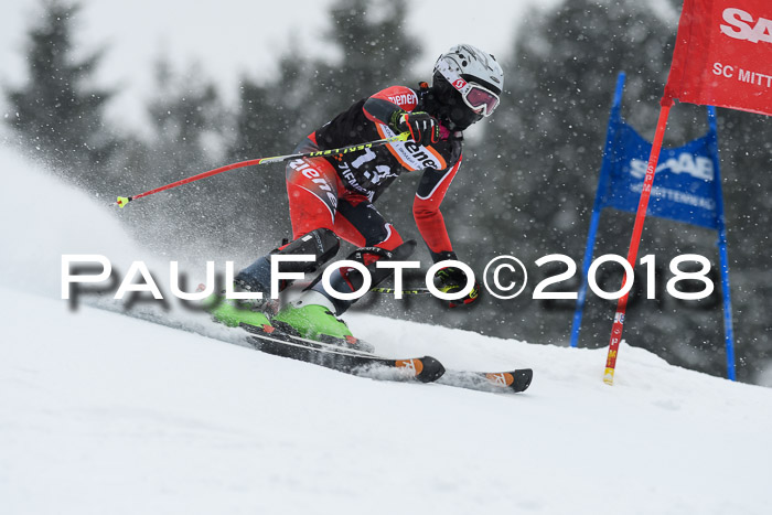 4. Ziener Cup WF, 25.02.2018