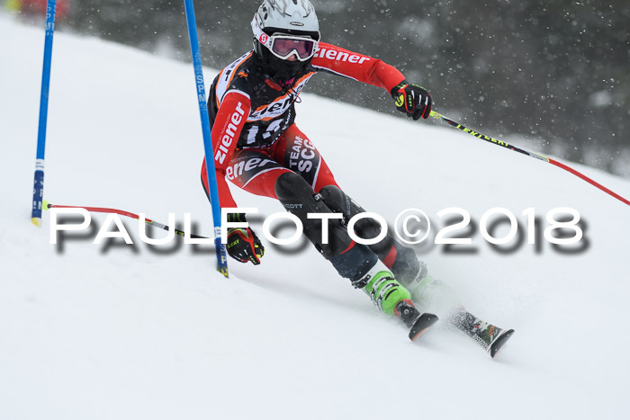 4. Ziener Cup WF, 25.02.2018