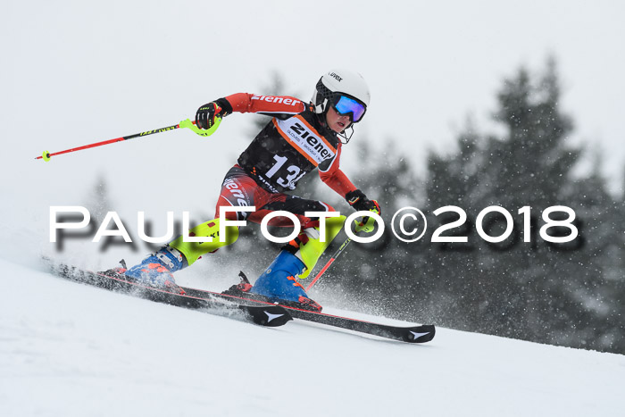 4. Ziener Cup WF, 25.02.2018
