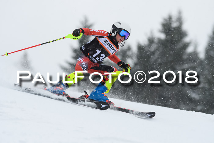 4. Ziener Cup WF, 25.02.2018