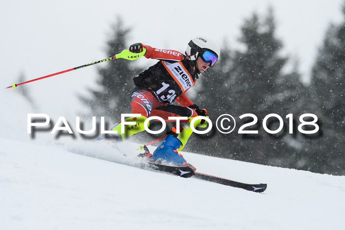 4. Ziener Cup WF, 25.02.2018